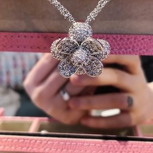 Bling bling necklace and earing set